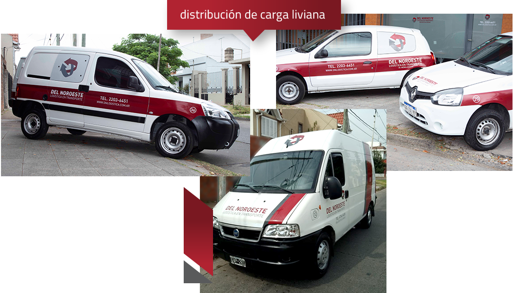 Flota Liviana